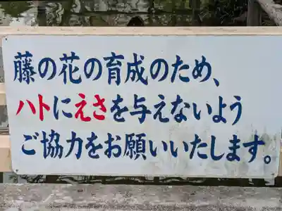 亀戸天神社(東京都)