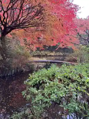 不退寺(奈良県)