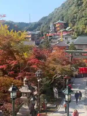 朝護孫子寺(奈良県)