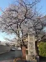 浄心寺の自然