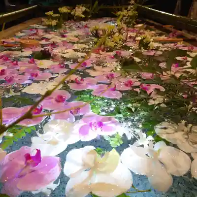 住吉神社の手水舎