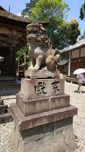 柏原八幡宮の狛犬