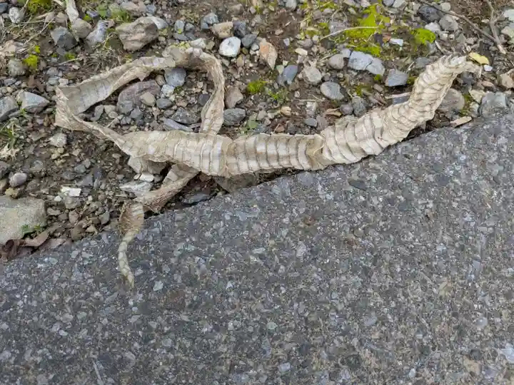 華厳寺(岐阜県)