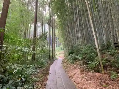 武雄神社の周辺