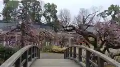 北野天満宮の庭園