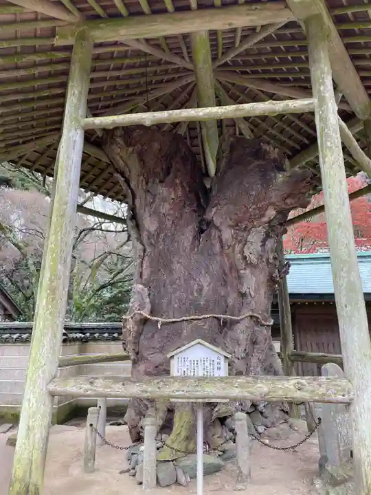 根香寺(香川県)