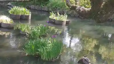 香椎宮(福岡県)