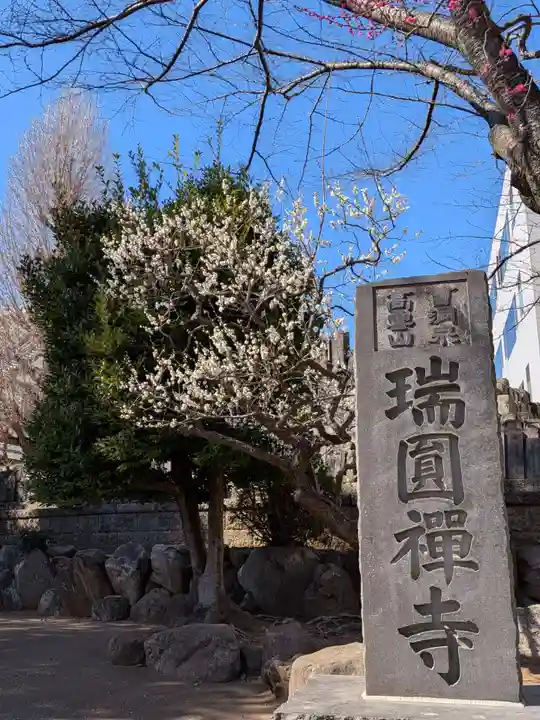 瑞円寺(東京都)