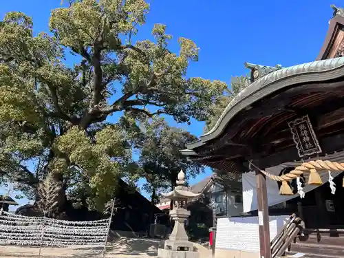 糸碕神社(広島県)