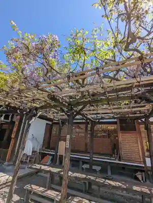 西院春日神社(京都府)