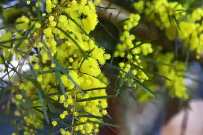 三津厳島神社(愛媛県)