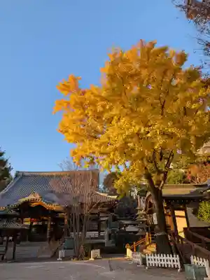 成願寺(東京都)