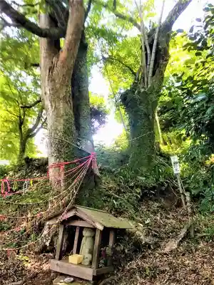 大聖寺(佐賀県)