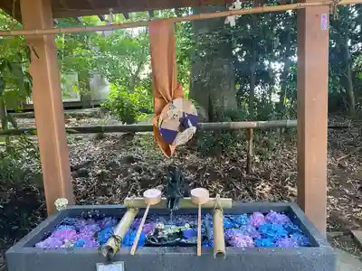 下野 星宮神社(栃木県)