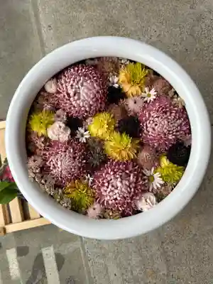 徳島眉山天神社(徳島県)