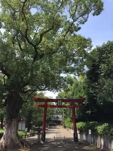 早水神社の鳥居