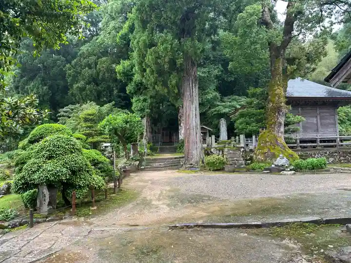 椋橋神社(兵庫県)