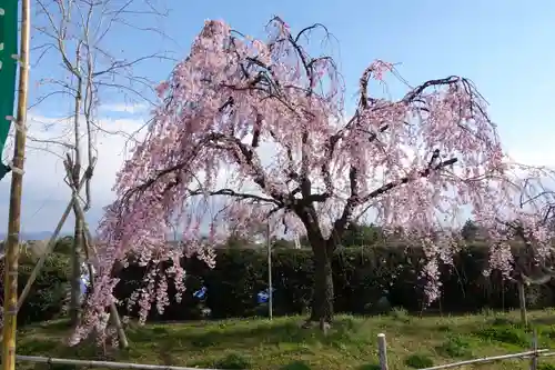 冥応寺の庭園