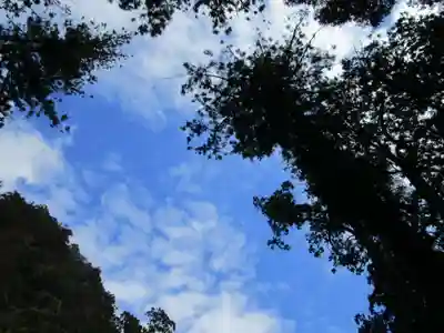飛瀧神社(熊野那智大社別宮)(和歌山県)