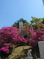 玉眞院玉川大師(東京都)