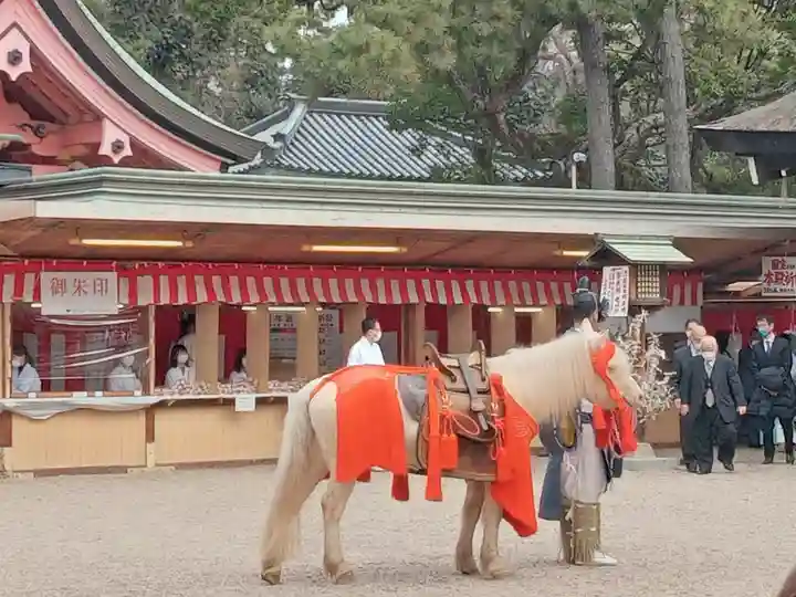 住吉大社(大阪府)