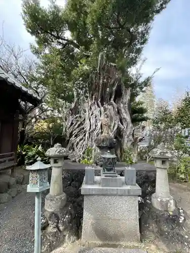 瑞雲寺(静岡県)