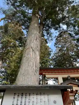 達谷窟毘沙門堂(岩手県)