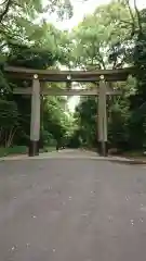 明治神宮の鳥居