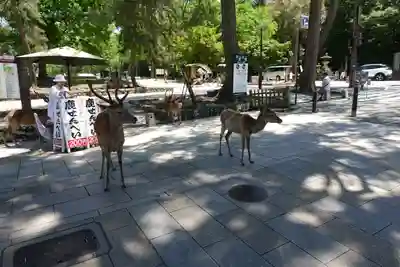 東大寺戒壇院千手堂(奈良県)