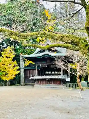 宇都宮二荒山神社(栃木県)