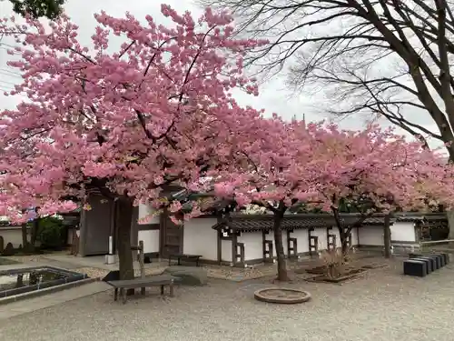 宗仲寺(神奈川県)