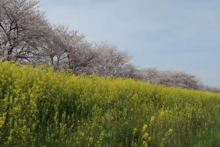 白鬚神社(岐阜県)