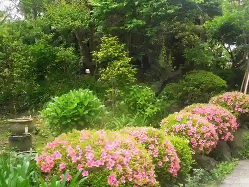 大巧寺の庭園