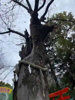 新田神社(東京都)