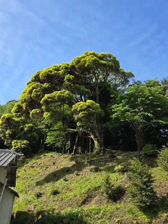 温泉神社〜いわき湯本温泉〜(福島県)