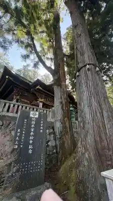 三峯神社の{uncategorized: "未分類", other: "その他", undefined: "問題あり", building: "その他建物", grave: "お墓", sacred_gate: "鳥居", guardian: "狛犬", statue: "像", buddha: "仏像", history: "歴史", nature: "自然", garden: "庭園", animal: "動物", pagoda: "塔", temizu: "手水舎", mountain_gate: "山門・神門", sanctuary: "本殿・本堂", subordinate: "末社・摂社", art: "芸術", scenery: "景色", jizo: "地蔵", ema: "絵馬", goshuin: "御朱印", omikuji: "おみくじ", items: "授与品その他", amulet: "お守り", goshuincho: "御朱印帳", eats: "食事", festival: "お祭り", votive_dance: "神楽", shichigosan: "七五三参", wedding: "結婚式", experience: "体験その他", initially: "初詣", around: "周辺", anti_infection: "感染症対策"}