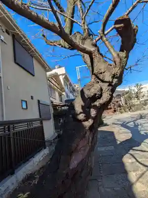 瑞泰寺(東京都)