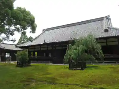 青蓮院門跡の本殿・本堂