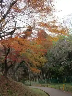 談山神社(奈良県)