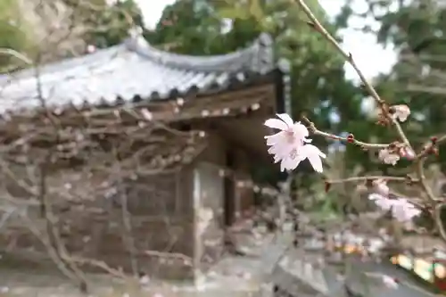 播州清水寺の自然