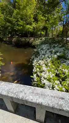 成相寺(京都府)