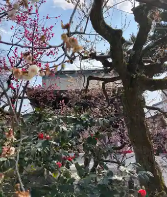 北野天満宮(京都府)