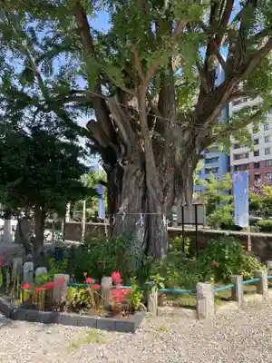 磐井神社(東京都)