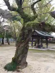 総願寺の自然