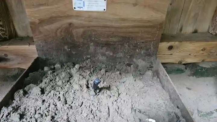 出雲大社(島根県)