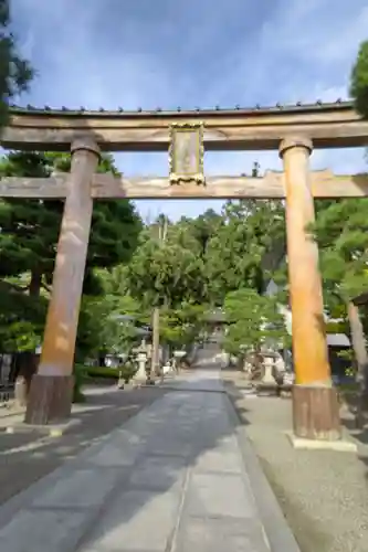 櫻山八幡宮の鳥居