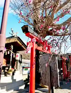 瀧宮神社(広島県)(2026年02月18日(水) 06時08分32秒投稿)