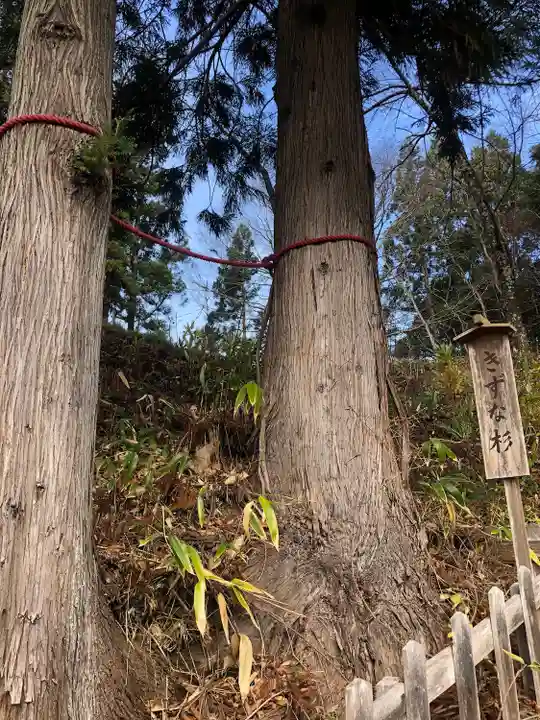 金田一温泉薬師神社の自然