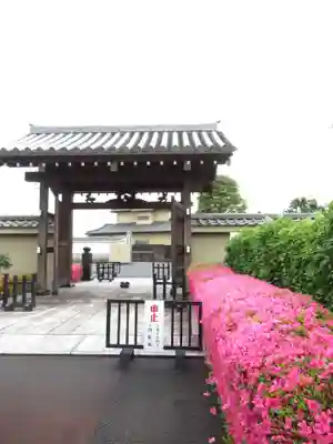 真光寺(千葉県)