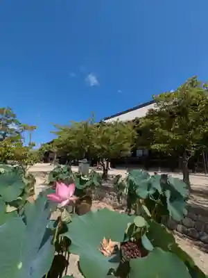 本山専修寺(三重県)
